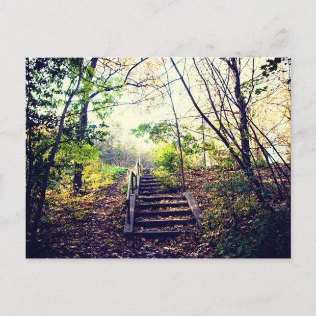 Mont-Royal Automne Postkarte (Vorderseite)