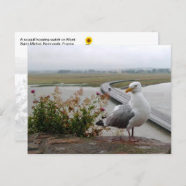 Mont-Saint-Michel Lookout, Normandie, Frankreich - Postkarte