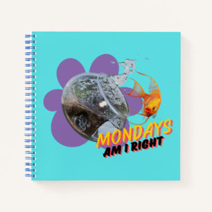 Montags, habe ich recht? notizbuch