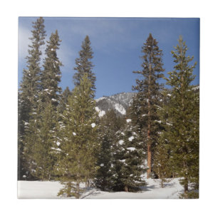 Montana Bergpfade im Winterlandschaftsfoto Fliese