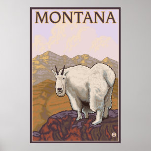 Montana - Bergziege Poster