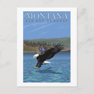Montana — Big Sky CountryDiving Eagle Postkarte