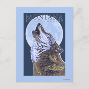 Montana — Big Sky CountryHowling Wolf Postkarte
