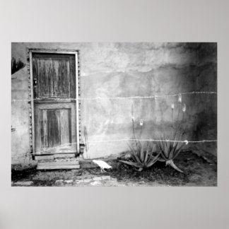 Montana de' Luz, Honduras Poster