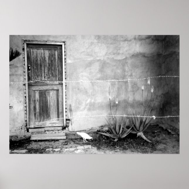 Montana de' Luz, Honduras Poster (Vorne)