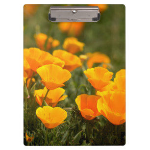 Montana de Oro Staat Park Klemmbrett