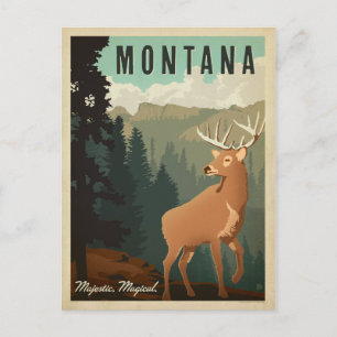 Montana Deer majestätisch, magisch Postkarte