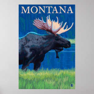 Montana - Elch Poster