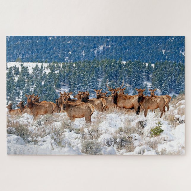 Montana Elk Herd Puzzle (Horizontal)