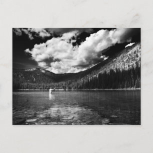 Montana Fisherman Postkarte