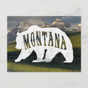 Montana-Grizzlybär-Postkarte Postkarte