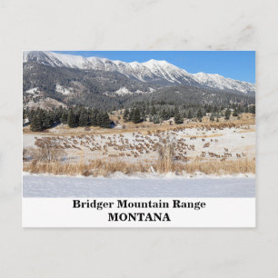 Montana Highlights Postkarte