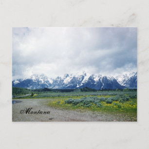 Montana Hills Landschaft Schöne Postkarte der 50er