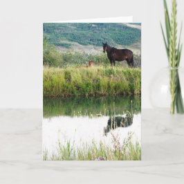 Montana Pferde Karte