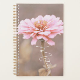 Montana Pink Wildblume Planer