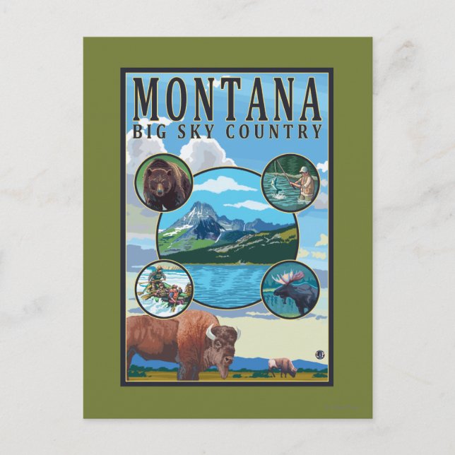 Montana Staat Scenes Postkarte (Vorderseite)