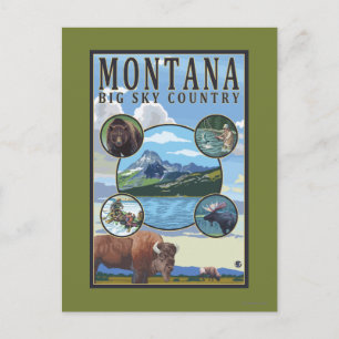 Montana Staat Scenes Postkarte