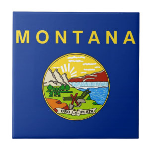 Montana-Staats-Flagge Fliese
