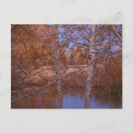 Montana Sunset Pond View Postkarte