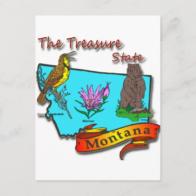 Montana Treasure Staat Bär Blume Postkarte (Vorderseite)
