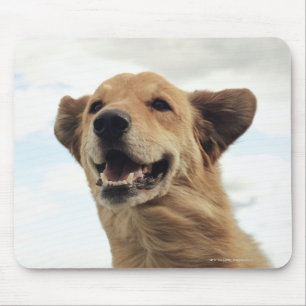 Montana, USA Mousepad