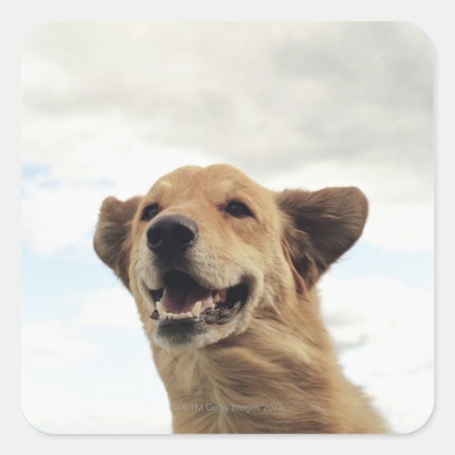 Montana, USA Quadratischer Aufkleber (Vorderseite)