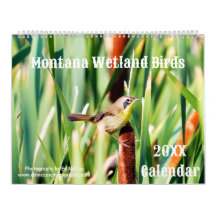 Montana Wetland Birds