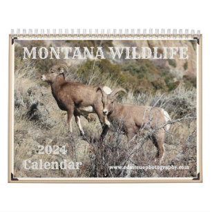 Montana Wildlife Kalender