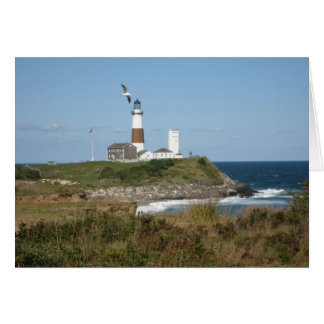 MONTAUK Lighthouse Seagull Liebe