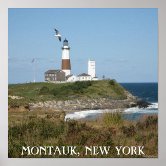 Montauk Lighthouse Seagull Liebe Poster