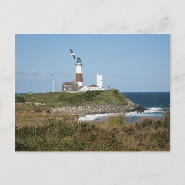 MONTAUK Lighthouse Seagull Liebe Postkarte (Vorderseite)