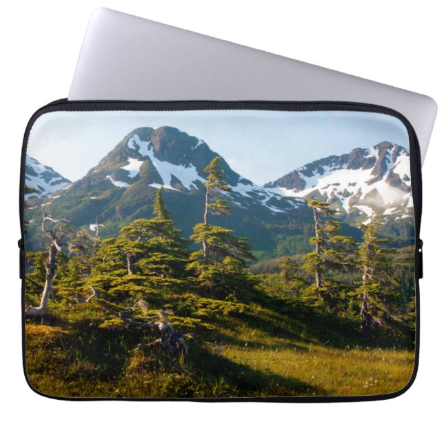 Monte Eccles bei Cordova, Alaska Laptopschutzhülle (Vorderseite)