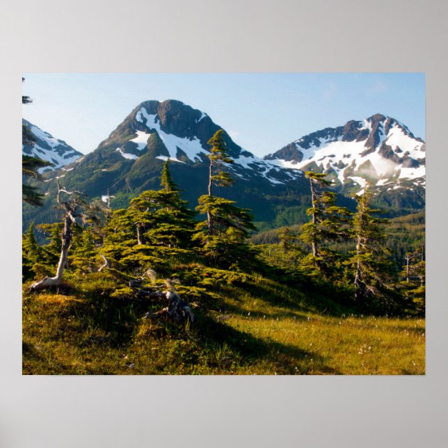 Monte Eccles bei Cordova, Alaska Poster (Vorne)