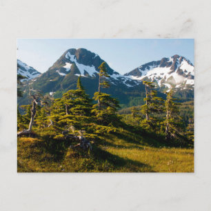 Monte Eccles bei Cordova, Alaska Postkarte