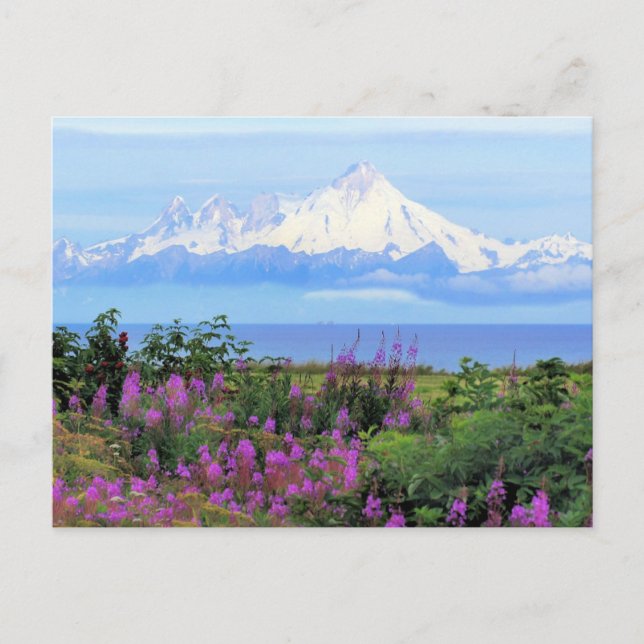 Monte Iliamna in Alaska Postkarte (Vorderseite)