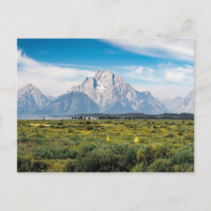 Monte Moran im Grand Teton Nationalpark Postkarte