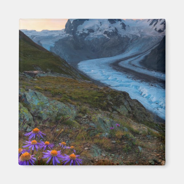 Monte Rosa Glacier | Schweiz Magnet (Vorne)