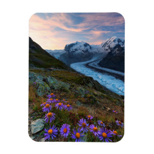 Monte Rosa Glacier   Schweiz Magnet