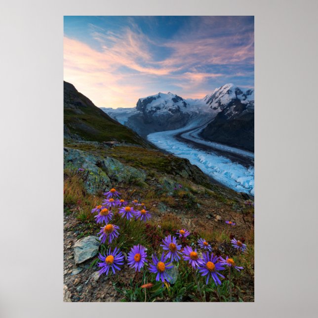 Monte Rosa Glacier | Schweiz Poster (Vorne)