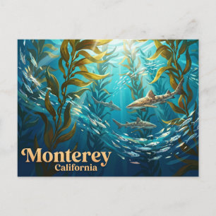 Monterey Bay Aquarium USA Postkarte
