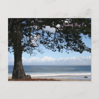 Monterey Bay, Ca. Postcard Postkarte