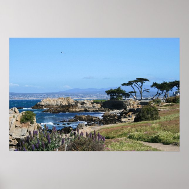 Monterey Bay Coastline, Spring Foto Poster (Vorne)