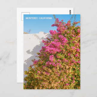 Monterey Bay Kalifornien | Filmfotografie | Wharf Postkarte