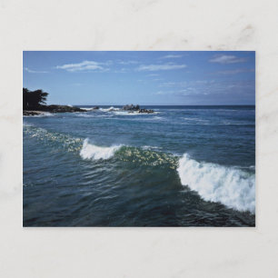Monterey Bay, Kalifornien Postkarte