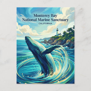 Monterey Bay National Marine Sanctuary USA Postkarte