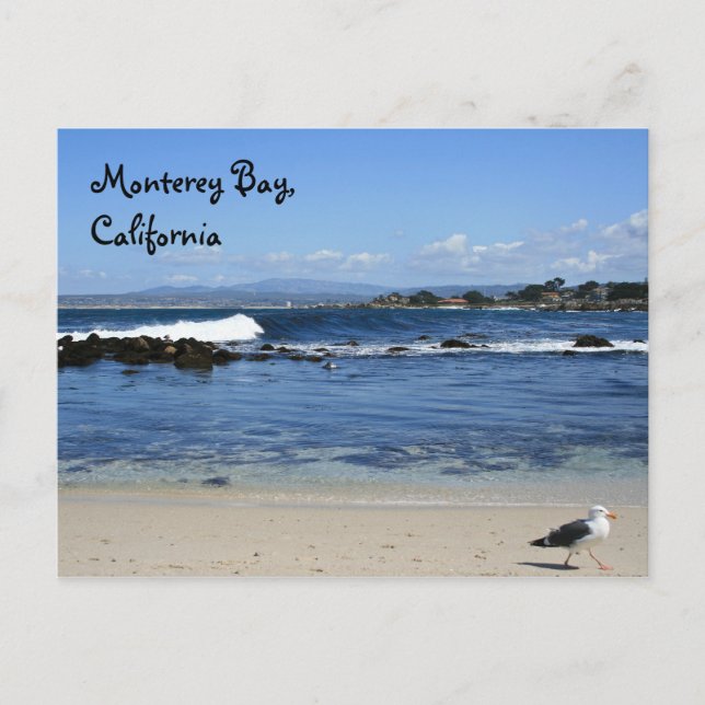 Monterey Bay, Postcard Postkarte (Vorderseite)