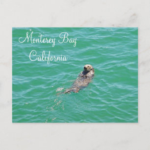Monterey Bay Sea Otter Postkarte