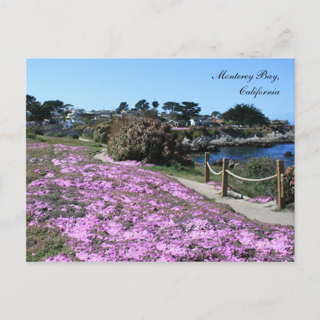 Monterey Bay, Spring Postcard Postkarte (Vorderseite)