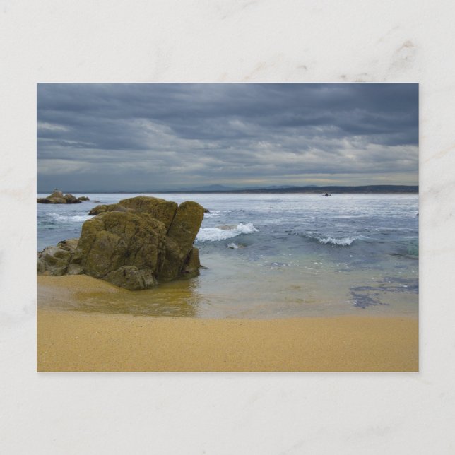 Monterey Beach Postkarte (Vorderseite)