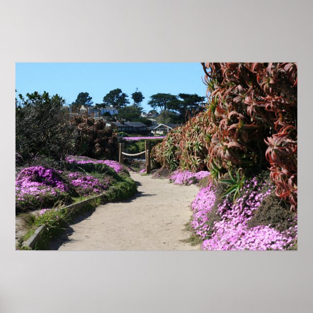 Monterey Beach Trail, Spring Foto Poster (Vorne)